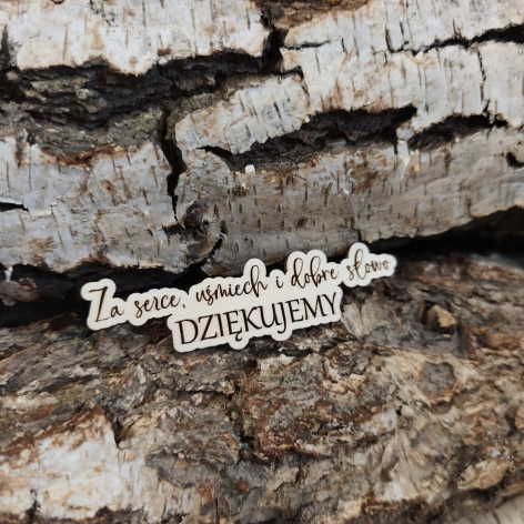 tabliczka dla nauczyciela T15 warianty