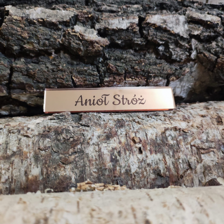 Tabliczka Anioł Stróż Lustro warianty